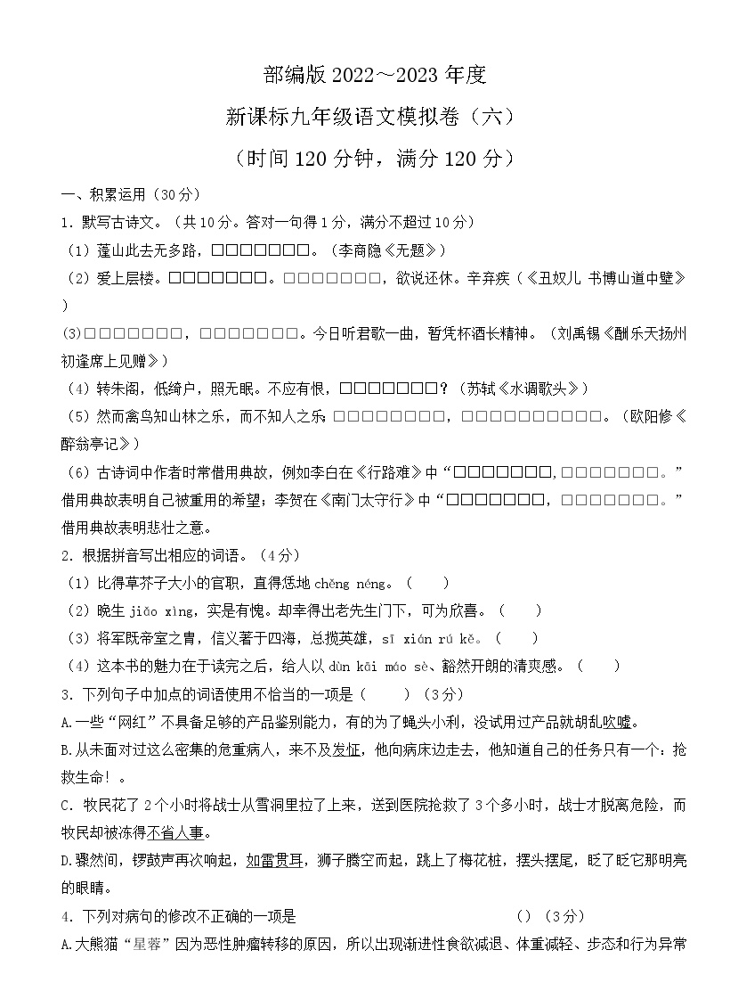广东新课标语文中考模拟练习卷（六）及参考答案 (3)
