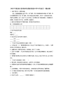 2023年黑龙江省鸡西市虎林实验中学中考语文一模试卷（含答案解析）