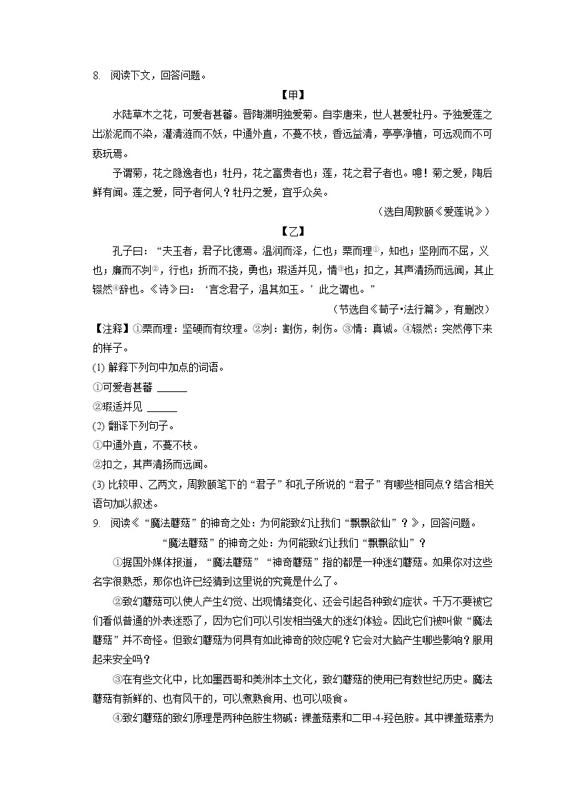2023年黑龙江省鸡西市虎林实验中学中考语文一模试卷（含答案解析）03