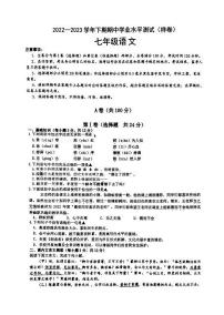 四川省成都市郫都区2022-2023学年七年级下学期期中学业水平测试语文试题