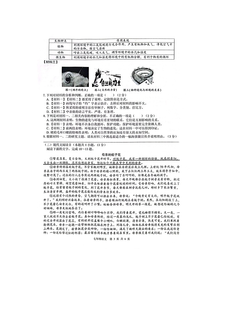 广西百色隆林2022—2023学年七年级下学期阶段质量调研语文试题第3页