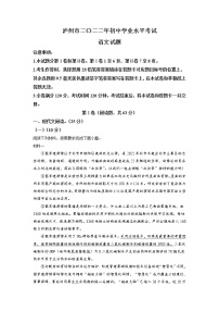 2022年四川省泸州市中考语文真题（解析版）