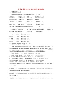 辽宁省沈阳市2018年中考语文真题试题(含答案)