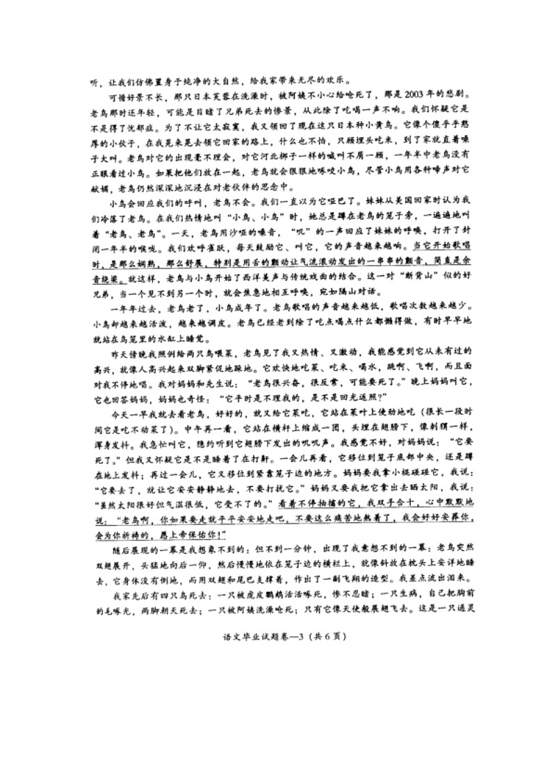 2012年浙江省中考语文模拟试题及答案第3页