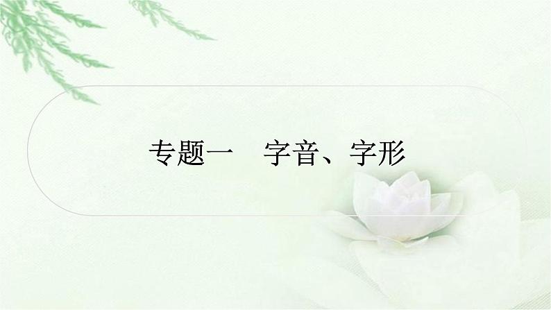中考语文复习专题一字音、字形作业课件第2页