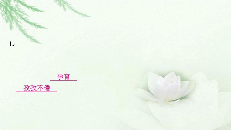 中考语文复习专题一字音、字形作业课件第3页