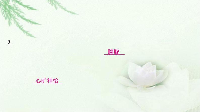 中考语文复习专题一字音、字形作业课件第4页