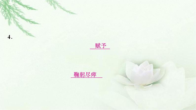 中考语文复习专题一字音、字形作业课件第6页