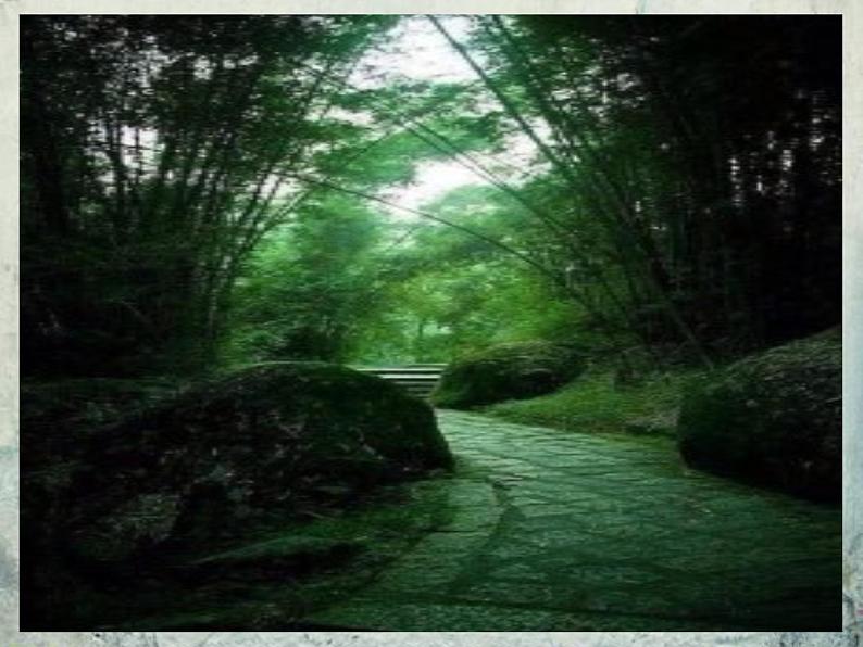 部编版八年级语文下册--第六单元课外古诗词诵读-题破山寺后禅院(课件3)02