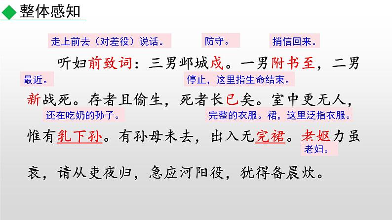部编版八年级语文下册--24 唐诗三首课件第8页