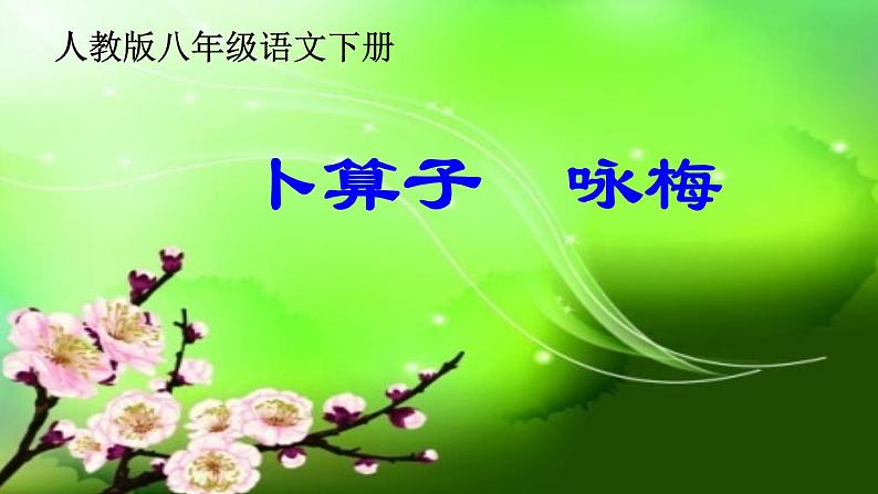 部编版八年级语文下册--第六单元课外古诗词诵读-卜算子.咏梅(课件)01