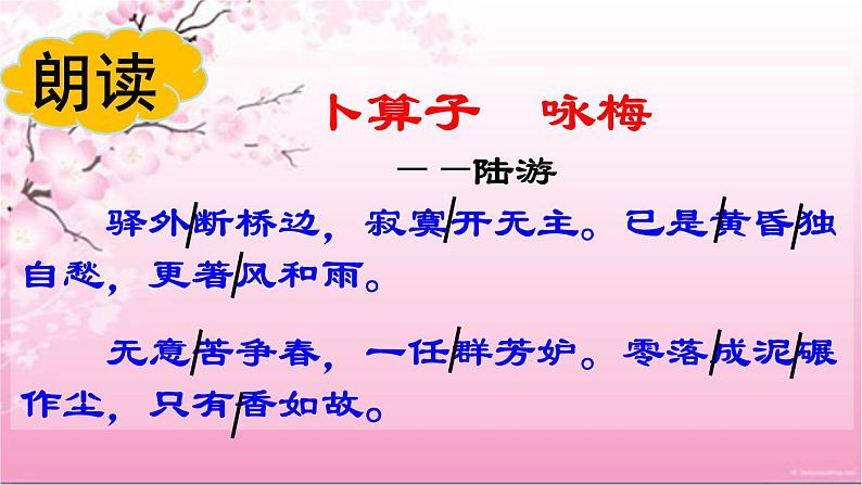 部编版八年级语文下册--第六单元课外古诗词诵读-卜算子.咏梅(课件)06