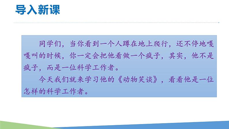 第17课《动物笑谈》课件2021—2022学年部编版语文七年级上册01
