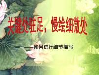2023中考作文指导：作文细节描写   课件