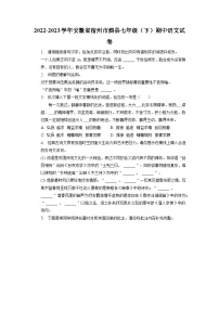 安徽省宿州市泗县2022-2023学年七年级下学期期中考试语文试卷