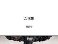 初中语文人教部编版七年级下册邓稼先评课ppt课件