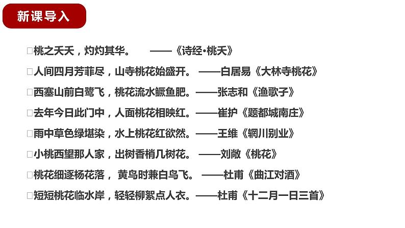第18课《一棵小桃树》课件2022-2023学年部编版语文七年级下册第2页