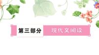 中考語文復(fù)習(xí)記敘文閱讀文體知識梳理教學(xué)課件