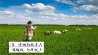 初中语文人教部编版七年级上册植树的牧羊人评课ppt课件