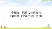 中考語文復習古詩文閱讀專題九課外古詩詞閱讀古代詩歌基礎知識教學課件