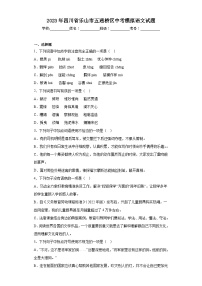 2023年四川省乐山市五通桥区中考模拟语文试题（含答案）