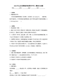 2023年山东省聊城市临清市中考二模语文试题(含答案)