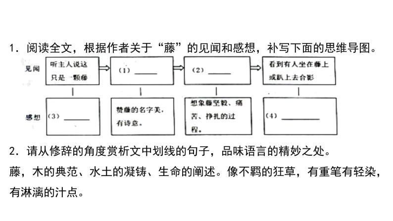 中考语文二轮复习讲练测--专题10 记叙文阅读——散文（复习课件）04