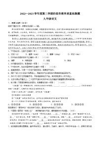 2023年山東省青島市西海岸新區(qū)中考二模語文試題（含答案）
