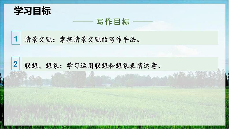 我看 课件第3页