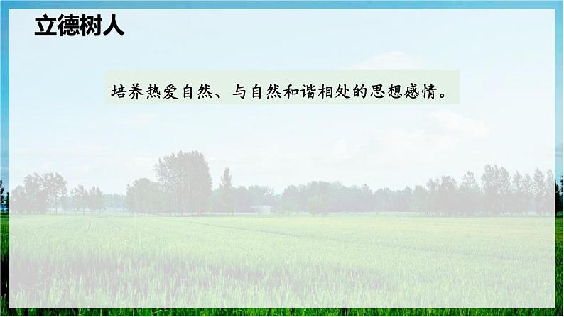 我看 课件第4页