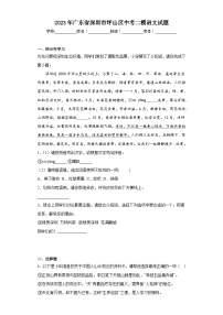 2023年广东省深圳市坪山区中考二模语文试题（含答案）
