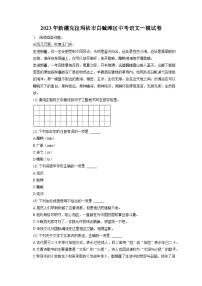 2023年新疆克拉瑪依市白堿灘區(qū)中考一模語文試卷（含答案）
