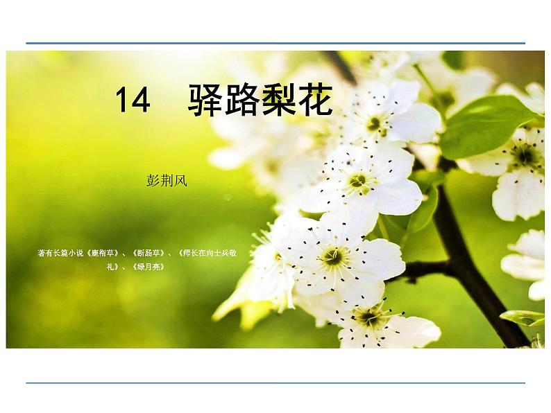 《驿路梨花》ppt课件第1页