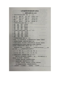 江蘇省鎮(zhèn)江市丹徒區(qū)2022-2023學(xué)年七年級下學(xué)期5月份月考語文試卷