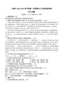 2022-2023学年福建省宁德市九年级上学期期末质量检测语文试题及答案