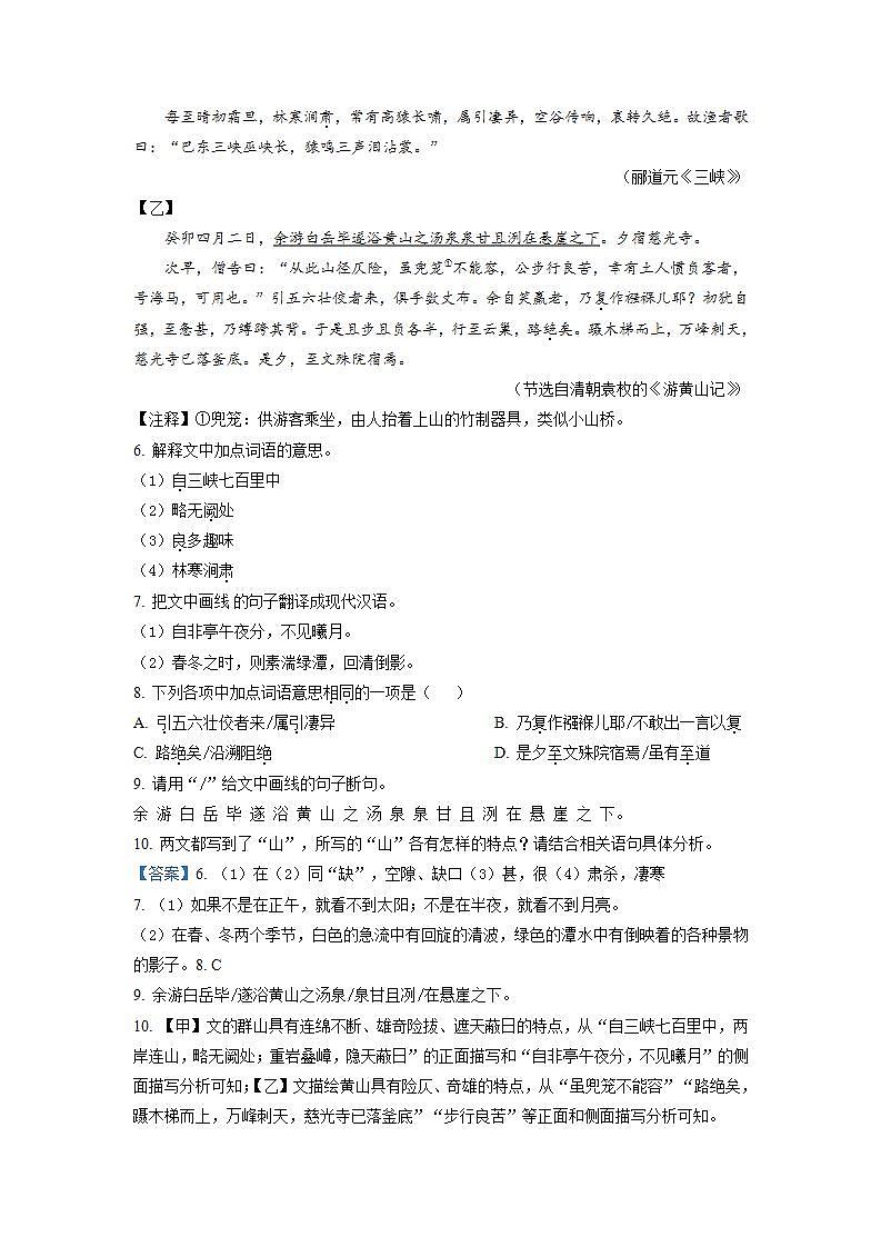 2023年山东省菏泽市成武县中考二模语文试题(解析版)03