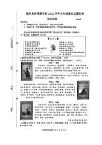 2023年浙江省温州外国语学校中考三模语文试题