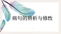 病句的辨析与修改 课件 2023年中考语文二轮专题