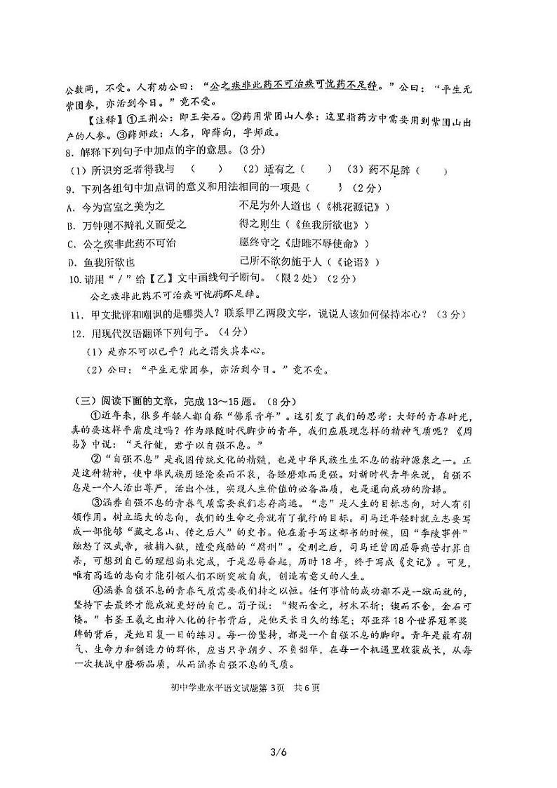 2023年山东省临沂市罗庄区中考二模语文试题03