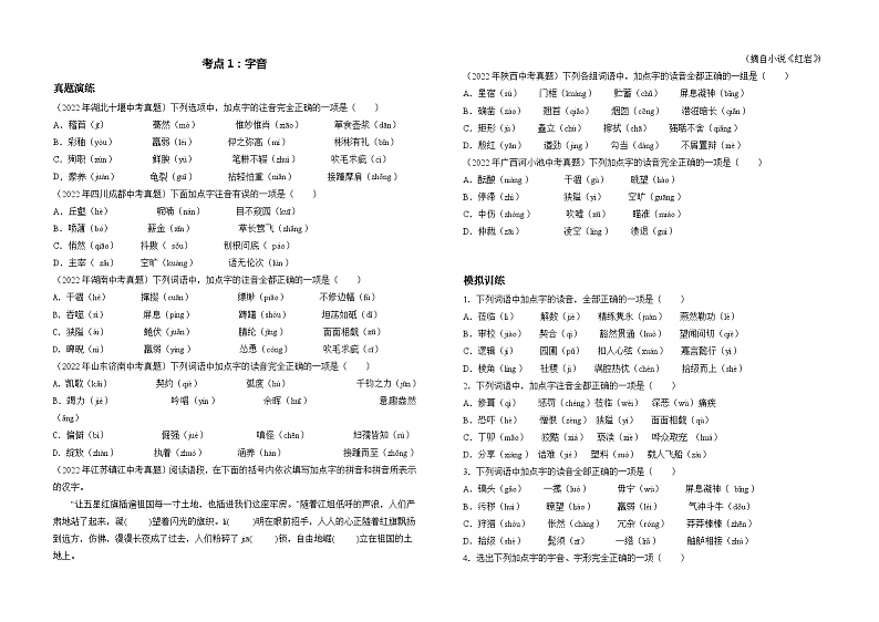 考点1:字音-2023届中考备考语文(A3 word版)第1页