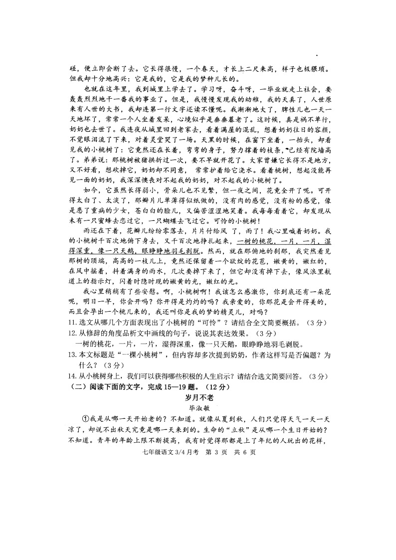 山东省菏泽牡丹区第二十一中学2022—2023学年七年级下学期六月月考语文试题03