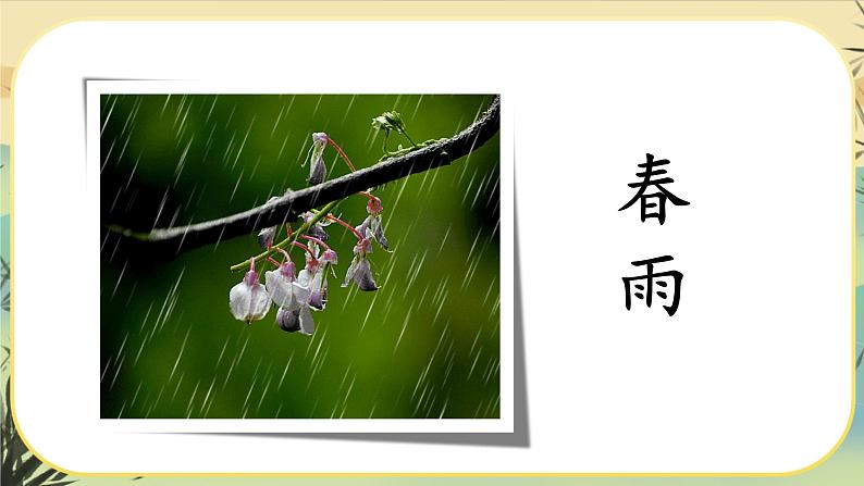 3《雨的四季》课件PPT02