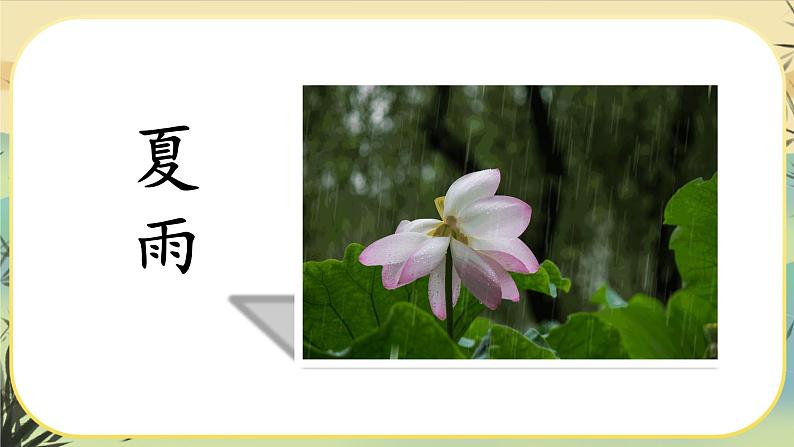 3《雨的四季》课件PPT03