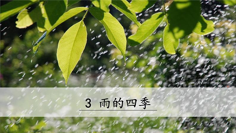 3《雨的四季》课件PPT06