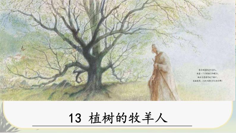13《植树的牧羊人》课件PPT04