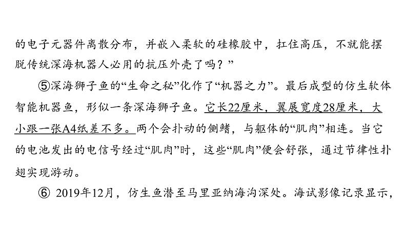 中考语文三轮冲刺训练-- 专题十一 说明文阅读(课件)04