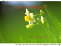 人教部編版七年級(jí)上冊(cè)春課文配套ppt課件