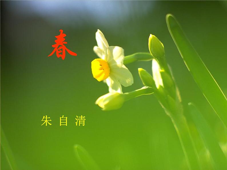 第1课《春》PPT课件3-七年级语文上册统编版第3页