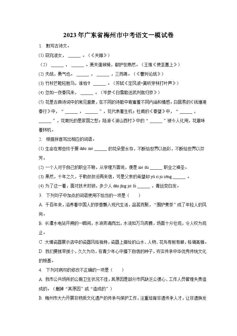 2023年广东省梅州市中考语文一模试卷-普通用卷01