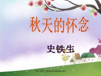 人教部編版七年級上冊秋天的懷念教案配套課件ppt